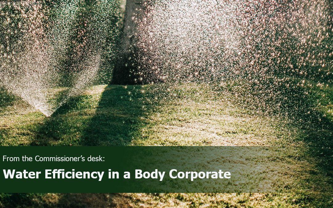 Water Efficiency in a Body Corporate