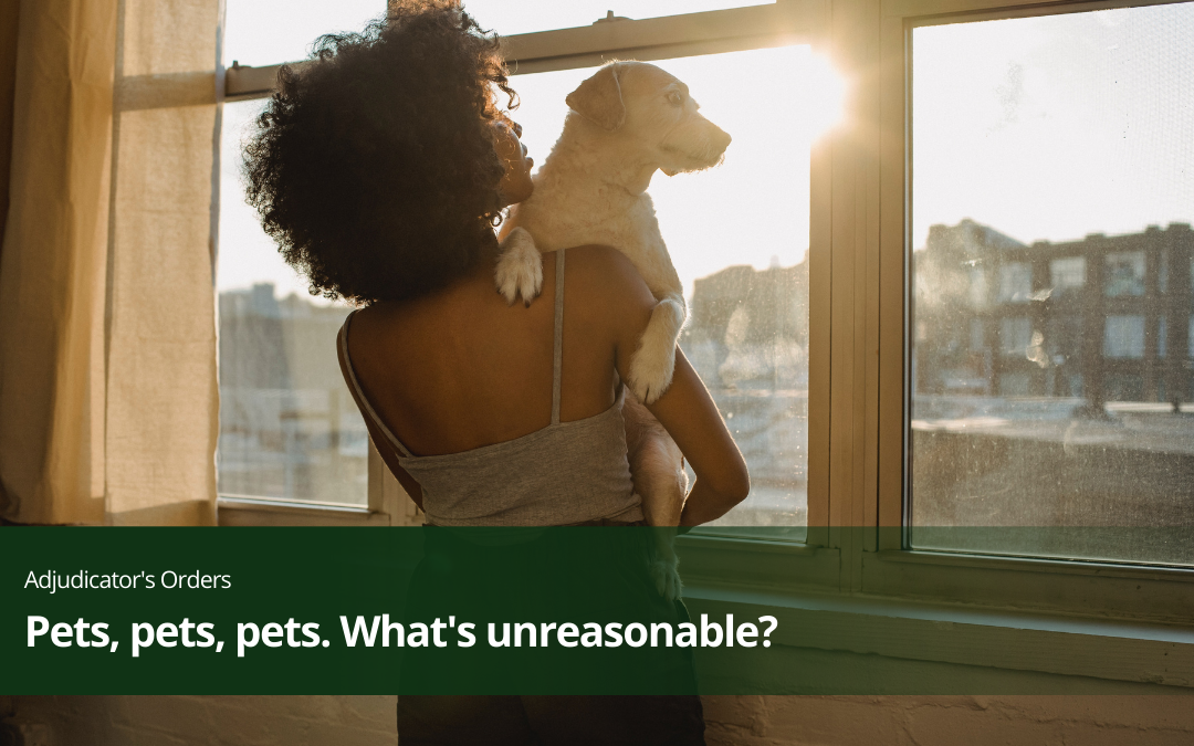 Pets, pets, pets. What’s reasonable?