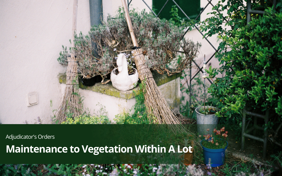 Maintenance to Vegetation Within A Lot