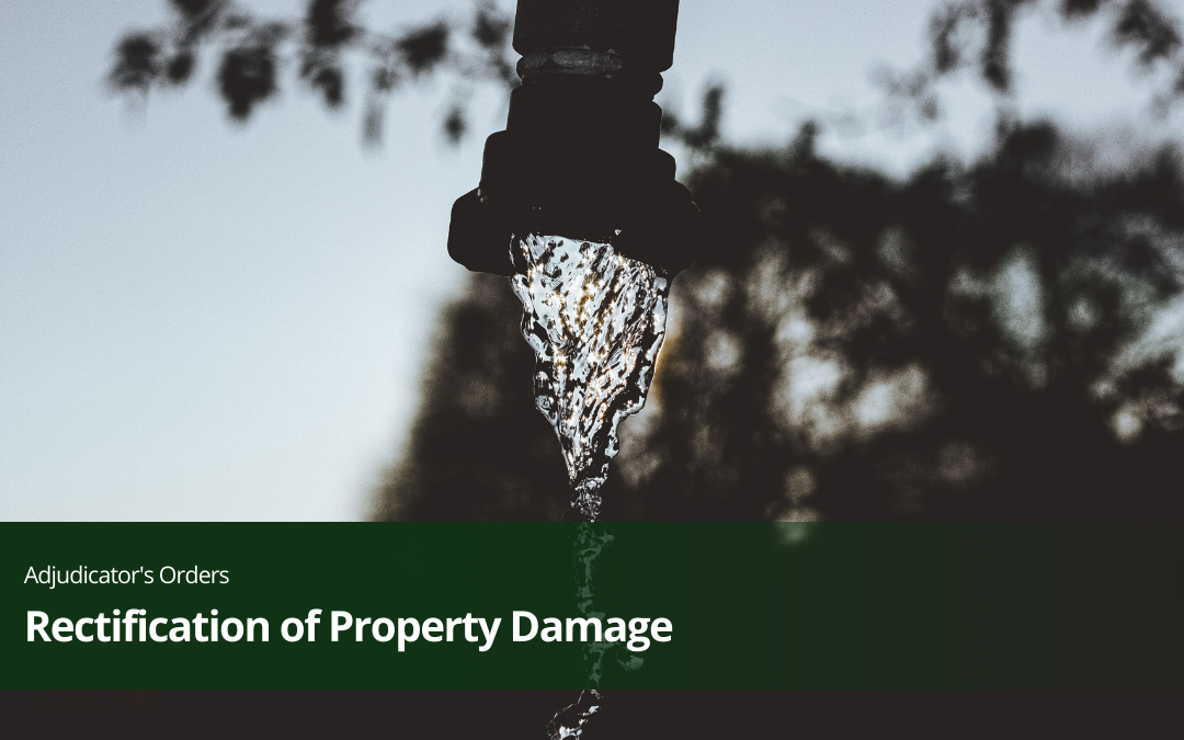 Rectification of Property Damage