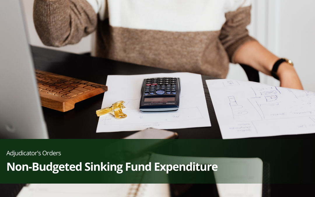 Non-Budgeted Sinking Fund Expenditure