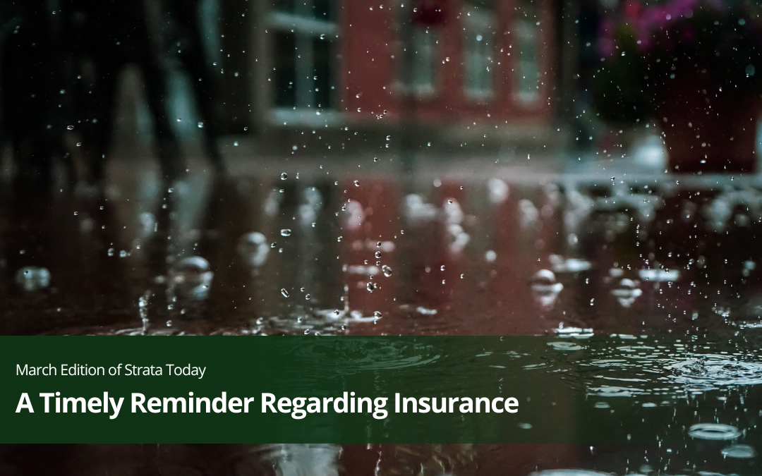 A Timely Reminder Regarding Insurance