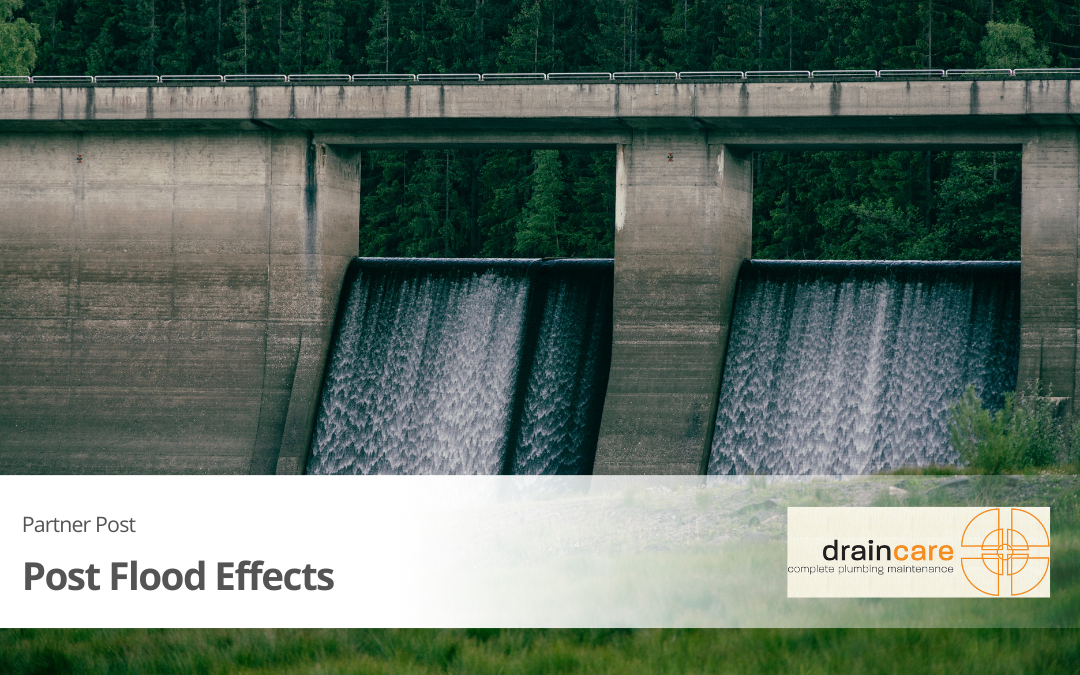 Post Flood Effects