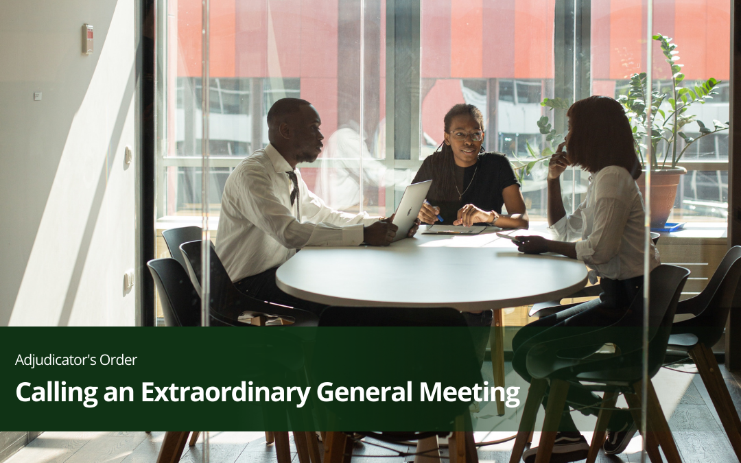 Procedures for Calling an Extraordinary General Meeting