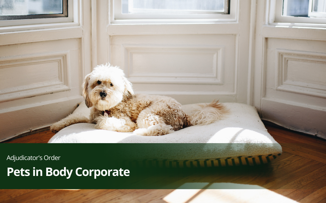 Pets in Body Corporate