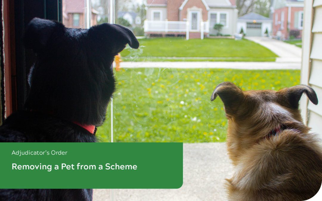 Removing a Pet from a Scheme – What is an Unreasonable Amount of Barking.