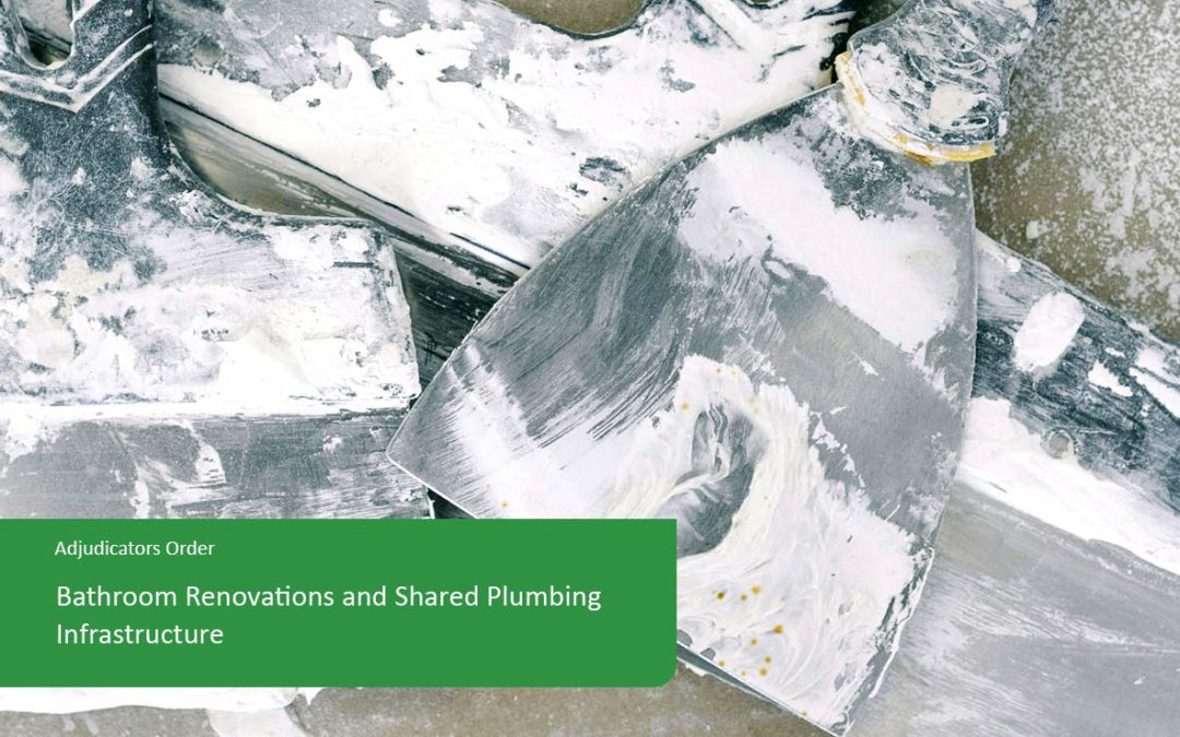 Bathroom Renovations and Shared Plumbing Infrastructure