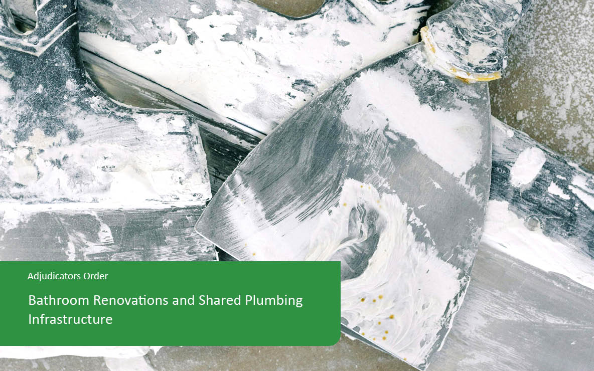 Bathroom Renovations and Shared Plumbing Infrastructure