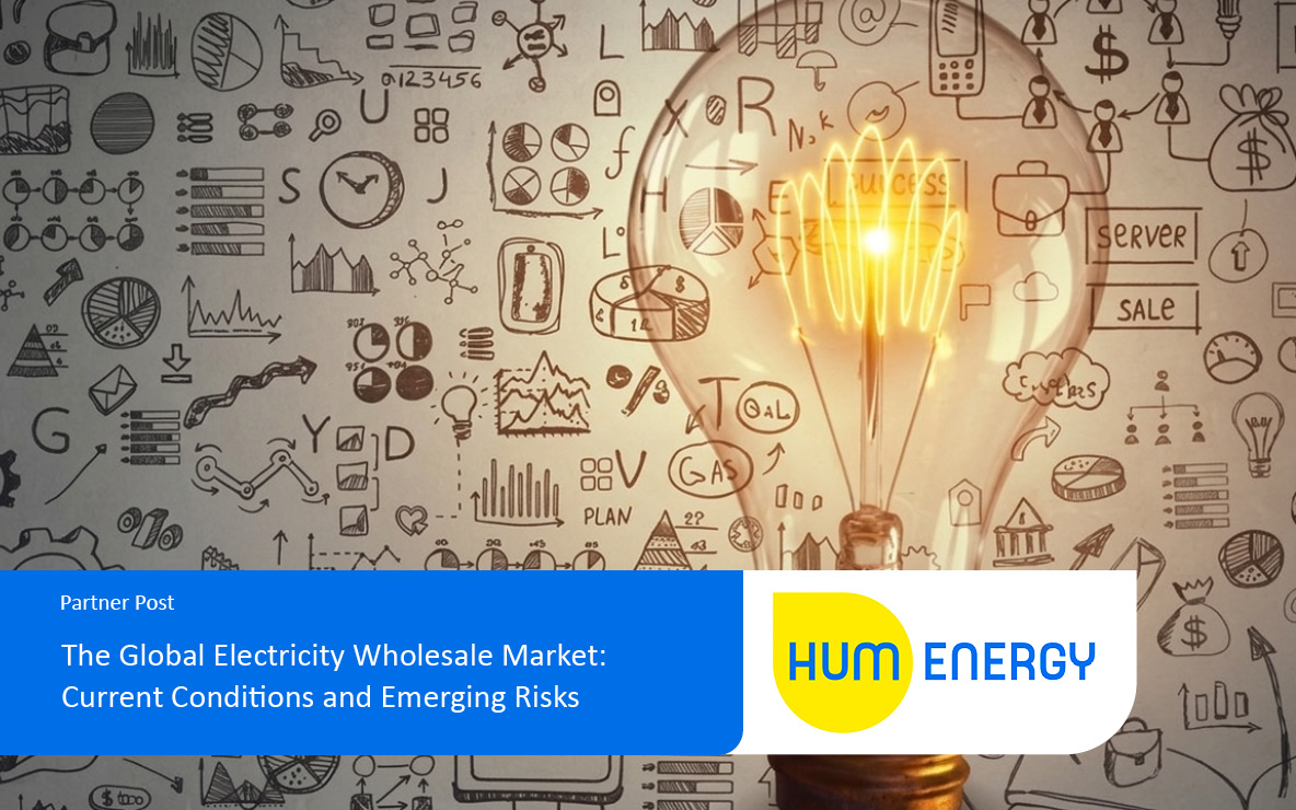 The Global Electricity Wholesale Market: Current Conditions and Emerging Risks