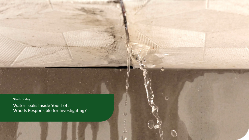 Water Leaks Inside Your Lot: Who Is Responsible for Investigating?
