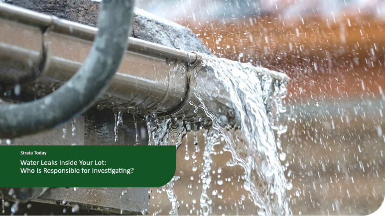 Water Leaks Inside Your Lot: Who Is Responsible for Investigating?